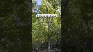 Rigging a tree over a house on a steep bank