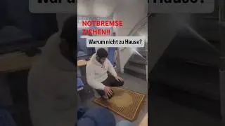 #viral #afd #stadtbild #story #remigration #status #news #religion #islam #deutschebahn