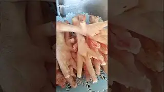 Chicken feet #villagelife #chickendrumsticks #traditionallifeofpunjab #mudhouselife