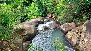 Boulder Paradise:  The Sound of Gentle Stream Flowing Down a Terraced Boulders