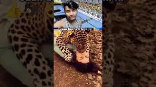 payout video description 🥷☠️👌&hearts;️💔❤️&zwj;🩹🚩🤭