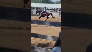 Bedford Fair 190