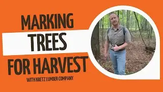 Marking Trees for Harvest - Wisconsin Forestry