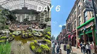 Navigating Nashville: Broadway and Nashville Hot Chicken | Tesla Car Camping | US Road Trip