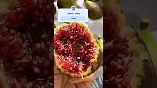 Did You Know Figs Thrive Here? 🇮🇩 #FigTree  #ExoticFruit #BuahTin #subscribe