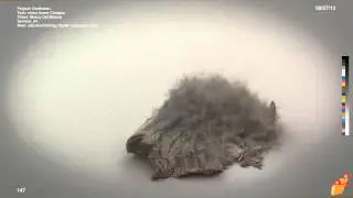 Anselm V. Seherr-Thoss making of Northmen-Viking tower collapse FX thinkingParticles