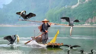 How One Old Man Trained Birds to Catch Fish for Him