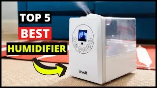 Top 5 Best Humidifiers for Bedroom, Home, Indoor Plants & Baby (2024) | Buying Guide & Review