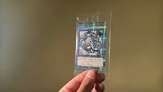 Japanese YuGiOh Mailday GONE WRONG!