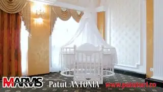 Patut Antonia