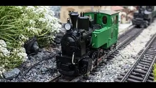 Lok 31 der SKGLB
