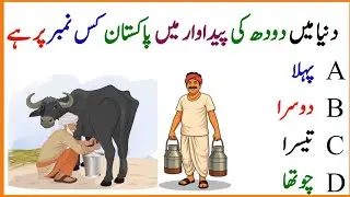 General Knowledge||Urdu GK||World Facts||Amazing Facts||Brain Booster||Shocking Facts||