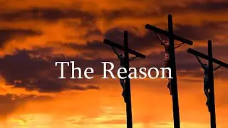 The Reason (Stuart Ramsay)