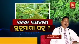 କେତେ ଉପକାରୀ ଗୁଡୁମାରୀ ପତ୍ର ? Gudmar: Uses, Health Benefits | Dr. Dinabandhu Moharana | Swasthyasutra
