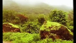 مالد شلة في مرباط ولي....