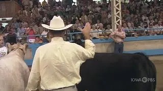 Fast Forward Flashback: Grand Champion Slaps | Celebrating the Fair