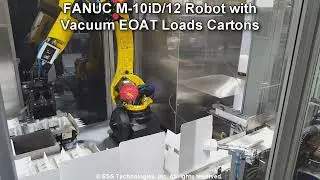 Auto-Bottom Cartoner for Pouches with Robotic Collation and Loading