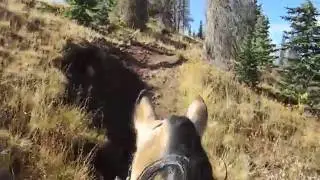 South San Juan Wilderness, passing by Red Lake