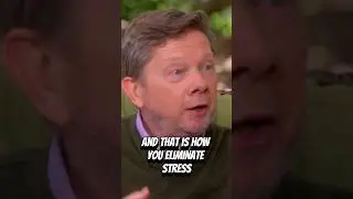 Экхарт Толле о том, как избавиться от стресса &mdash; Спаситель сна #mbti #eckharttolle #intp