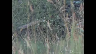 Atn x-sight 5 5-25 LRF