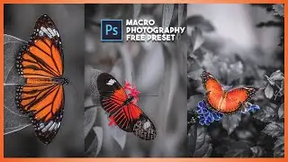 How to Edit  Macro Photography | photoshop macro photography camera raw presets free download | psu