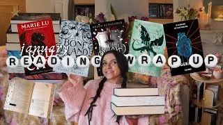 the TWENTY SEVEN books I read in January (my biggest reading month ever) 📖🌟