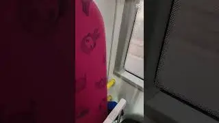 KMB瘋狂版本E50D-36