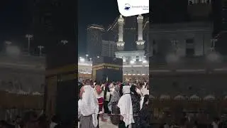 Experience the Blessings of Umrah! 🕋✨