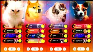 Tiles Hop funniest cats and dogs. Watch to the end!