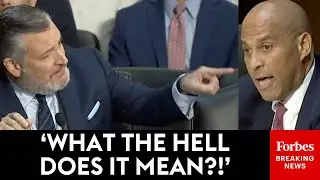 'I Found Sen. Booker's Questioning Really Bizarre': Ted Cruz Rips Dem Senator During Patel Hearing