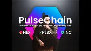 GOPULSE EXIT SCAM FEARS!!!!! RICHARD HEART - HEX PRICE - PULSECHAIN