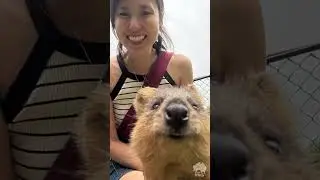 Meet Dr Becca Leung - Board Certified Veterinary Nutritionist&reg;