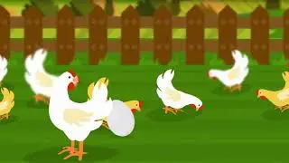 BC Egg &ndash; Farm to Table Motion Graphics Video (2017)