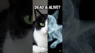The schr&ouml;dinger's Cat