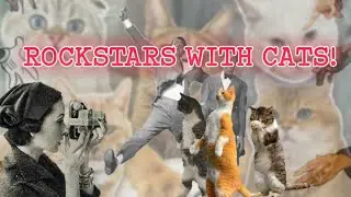 13 Of The Greatest Musicians Who Love Cats! (Famous people and Cats)