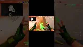 https://www.twitch.tv/vealont
