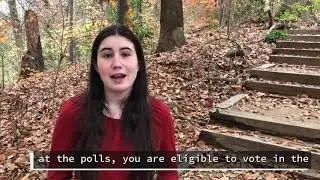 Disability Rights & the Georgia Runoff | Our Democracy