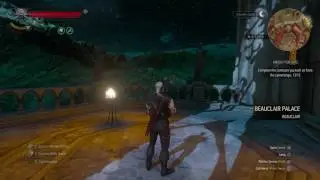 The Witcher 3: 56 Skill point glitch + All magic skills unlocked
