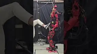 Humanoid Reinforcement Learning: Perturbation Test