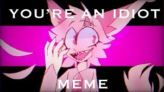 YOU&rsquo;ER AN IDIOT | meme | bright colors | Flash warning