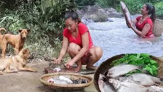 Survival in forest, Big fish spicy cooking with Snail, Fish steam tasty and Eating delicious