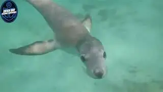 Things to do in Jurien Bay!