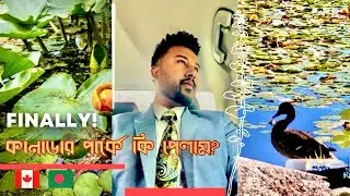 Canada তে কিভাবে সম্ভব? Bangladeshi life in Abroad | Canada Life| Bangladeshi Vlog
