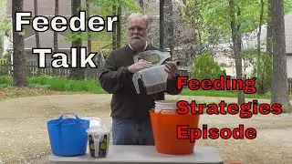 Bird Food Types, Feeding Tools, Feeding Strategies and Feeding Tips