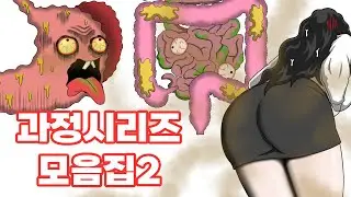 Human Body Science Processes | Animated Collection.2