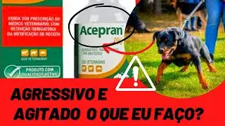 SEDATIVO PARA CACHORRO AGRESSIVO E AGITADO - Acepran NÃO USE SEM ASSISTIR Pode Salvar ou Matar Cães