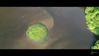 De natuurlijk delta van de Swalm