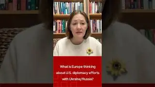 What is Europe thinking about U.S. diplomacy efforts with Russia/Ukraine?