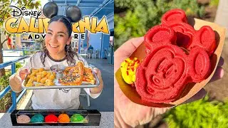 ✨ (NEW!) 2026 Disney California Adventure Park FOODS! | New Merch, MASSIVE Updates + MUCH MORE!