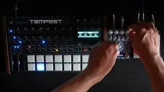Glitchy Workout via DSi Tempest, MWFX Big Metal Judder and Strymon ElCapistan